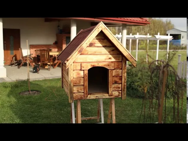 impregnacja budy dla psa