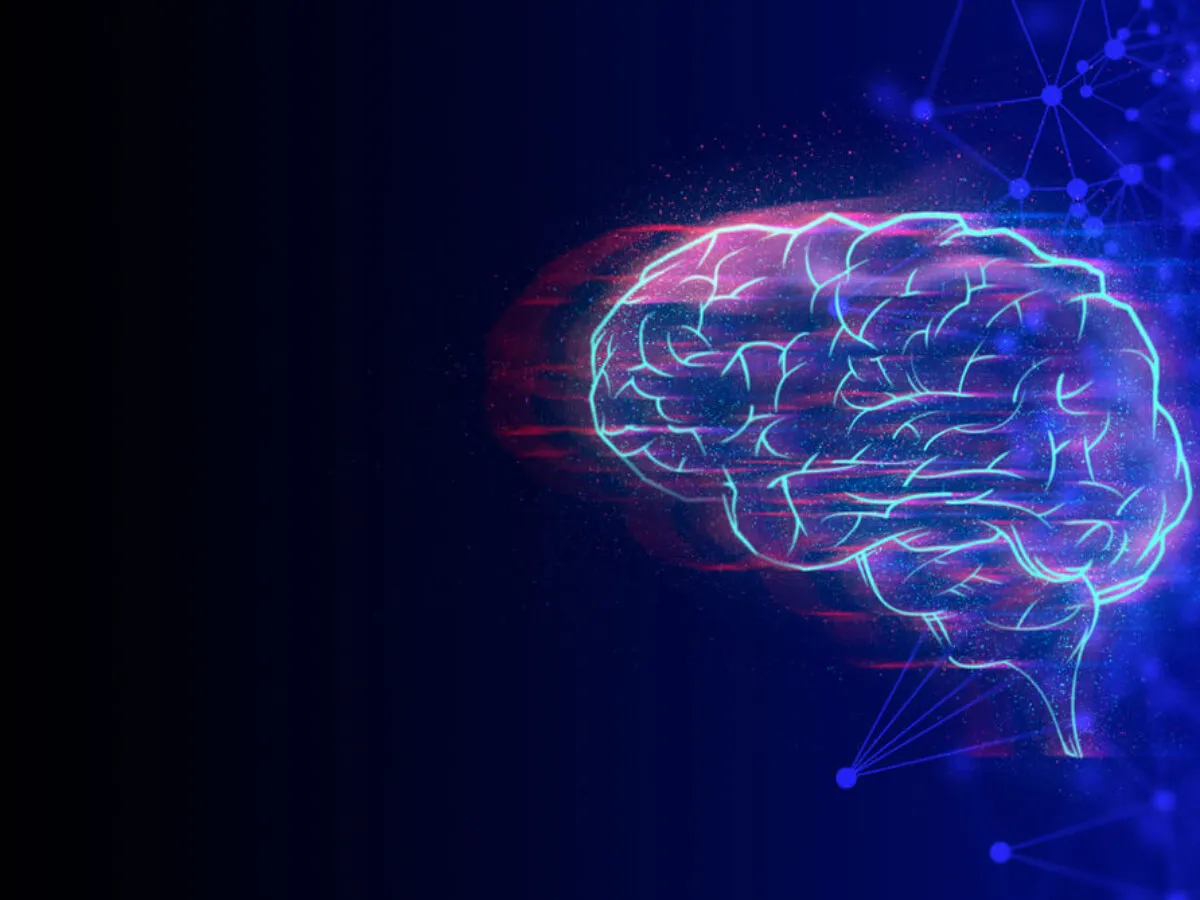 M&oacute;zg w sieci neuronowej