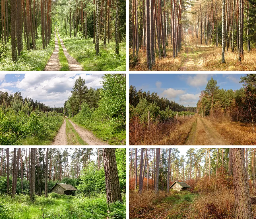 Pory roku w Polsce kolaż zdjęć