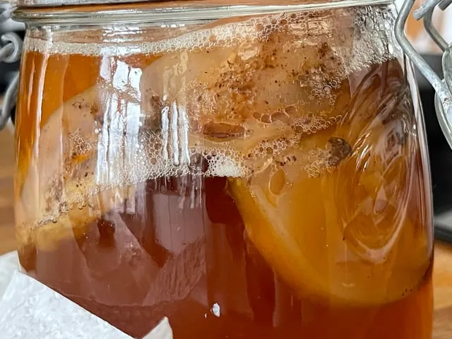 pleśń na kombuchy vs drożdże