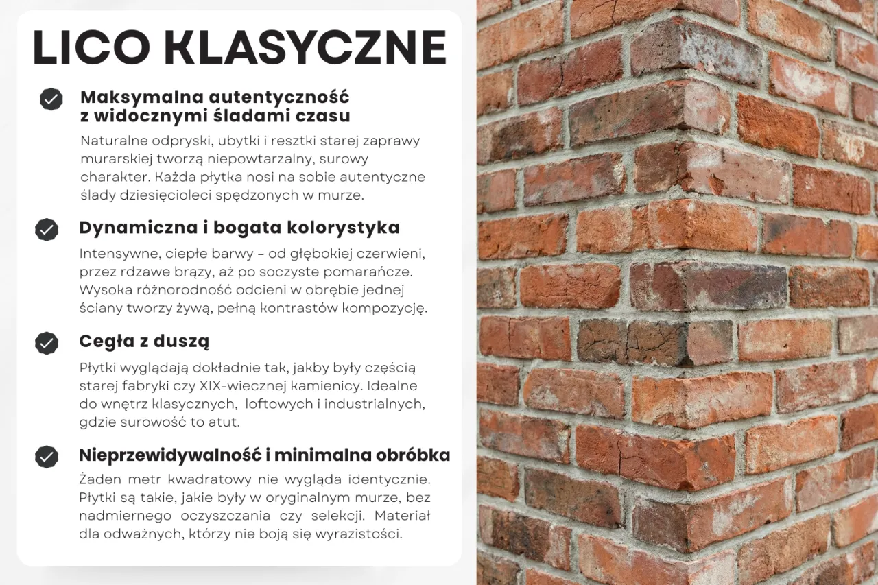 rodzaje cegły dekoracyjnej gips beton lico porównanie