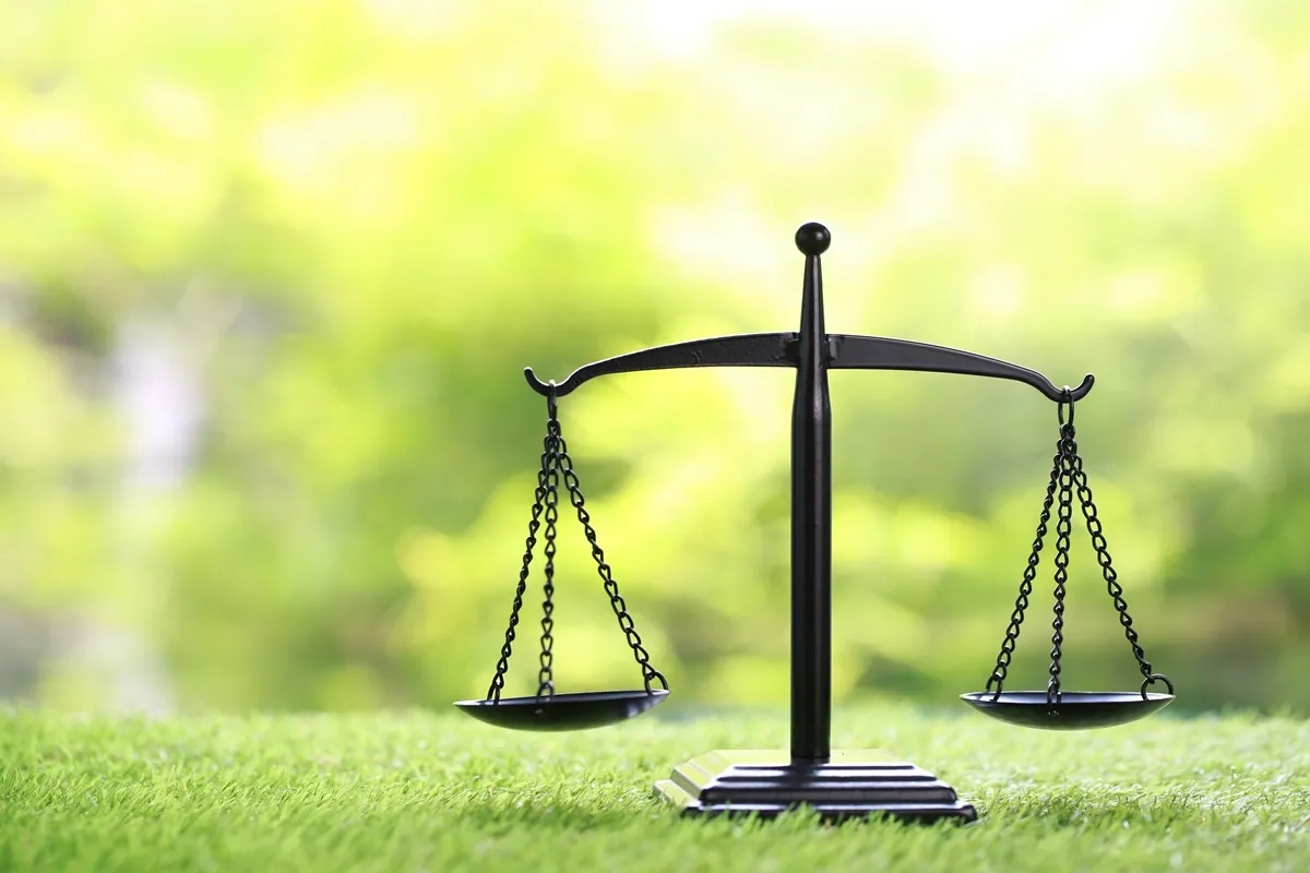 różnica dobra zła wiara prawo