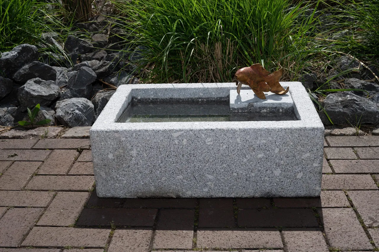 Płytkie poidło dla ptaków z kamieniami