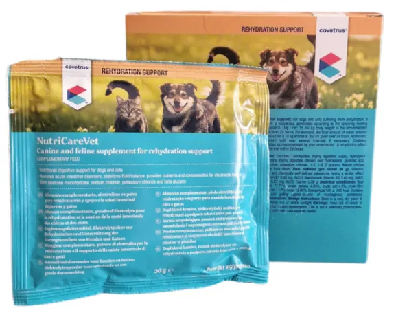 preparaty elektrolitowe dla psów