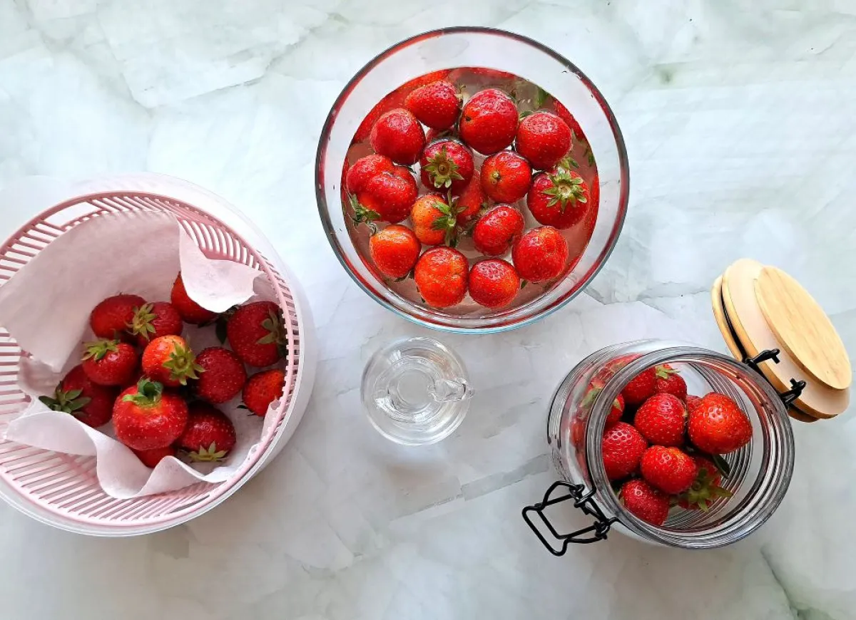 selekcja truskawek do przechowywania