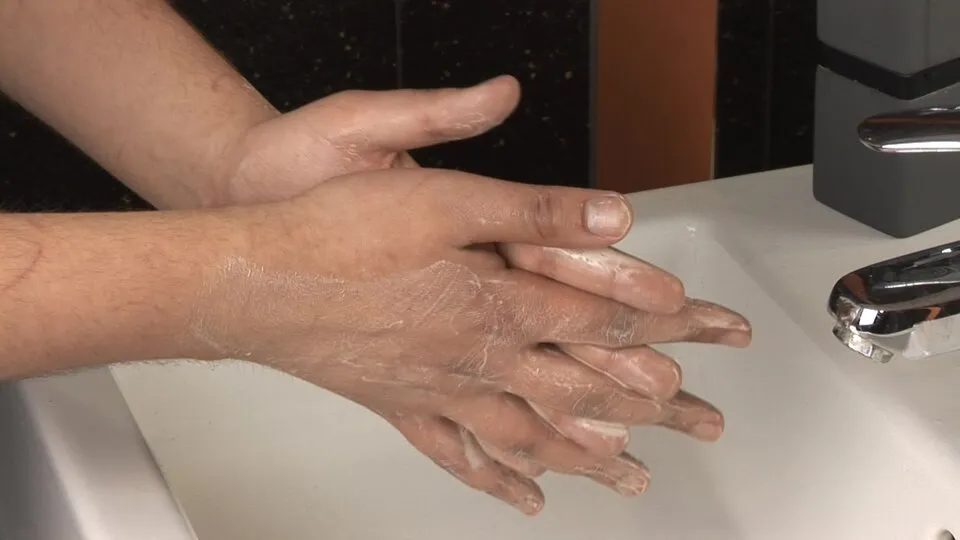 Zdjęcie Jak dbać o skórę z perspektywy biologii: kluczowe mechanizmy i praktyczne porady