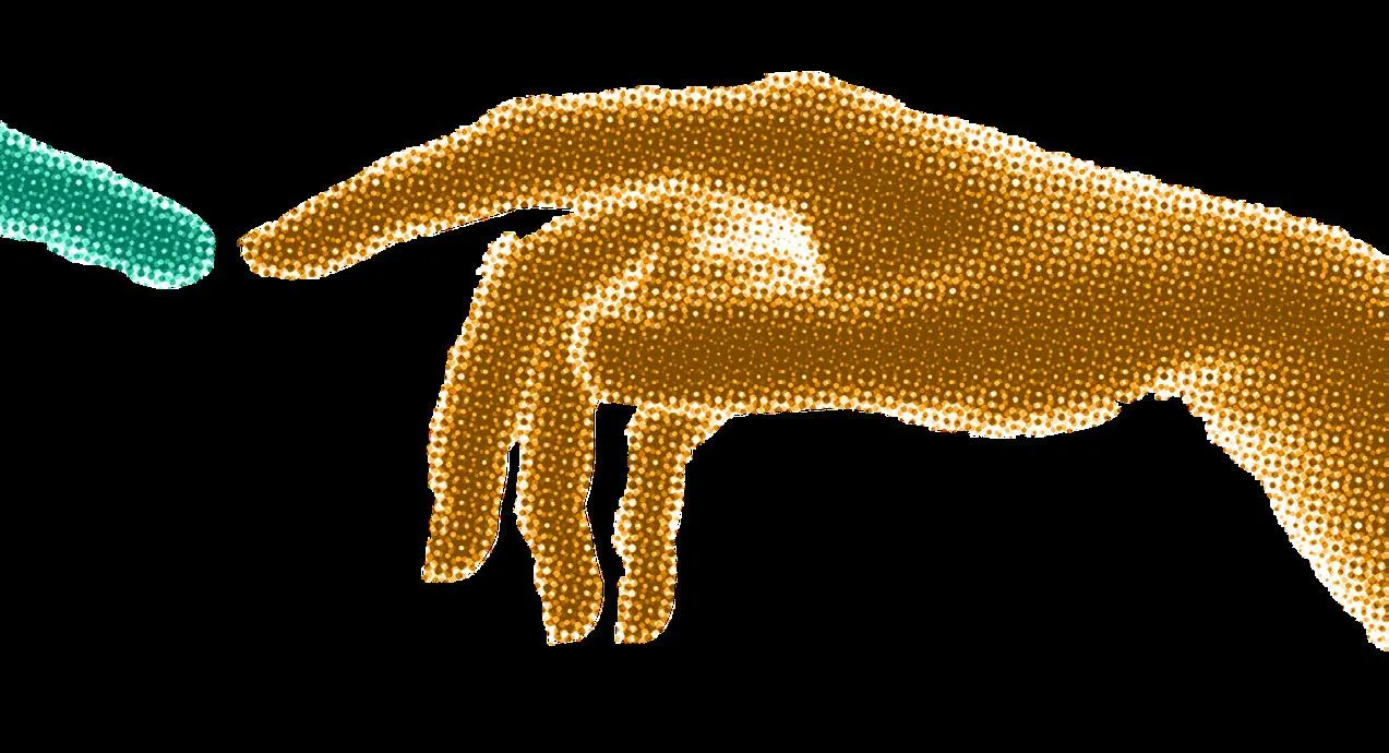 symulacja widzenia daltonisty r&oacute;żne typy