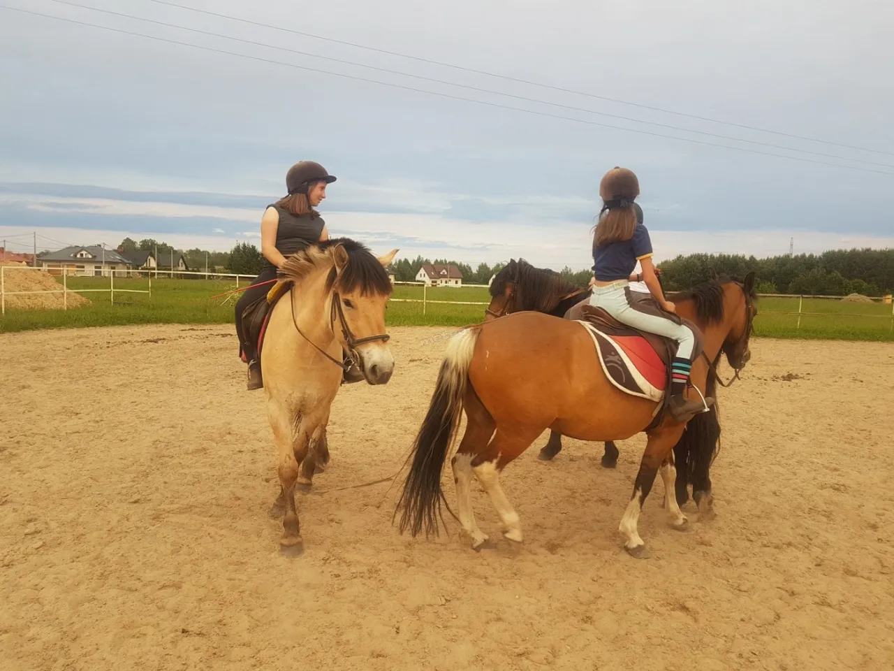 Stadnina koni Ostrołęka widok z g&oacute;ry