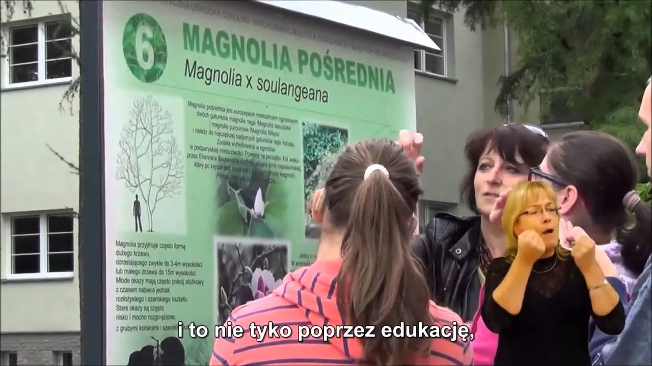 Zdjęcie Ośrodek dla niesłyszących Wrocław – wsparcie i edukacja dla dzieci
