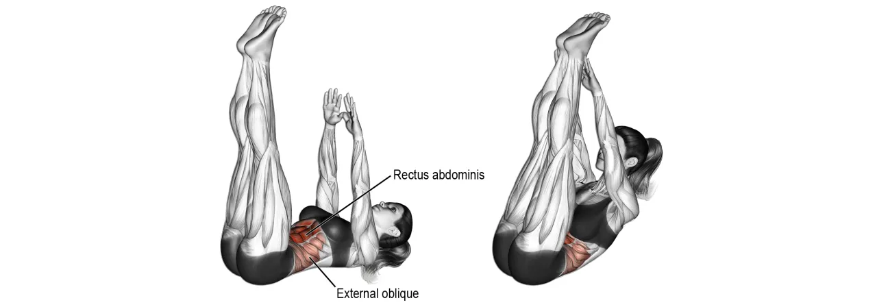Anatomia mięśni brzucha schemat