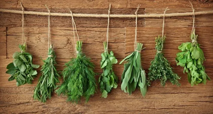 Erbe aromatiche e spezie per cucinare