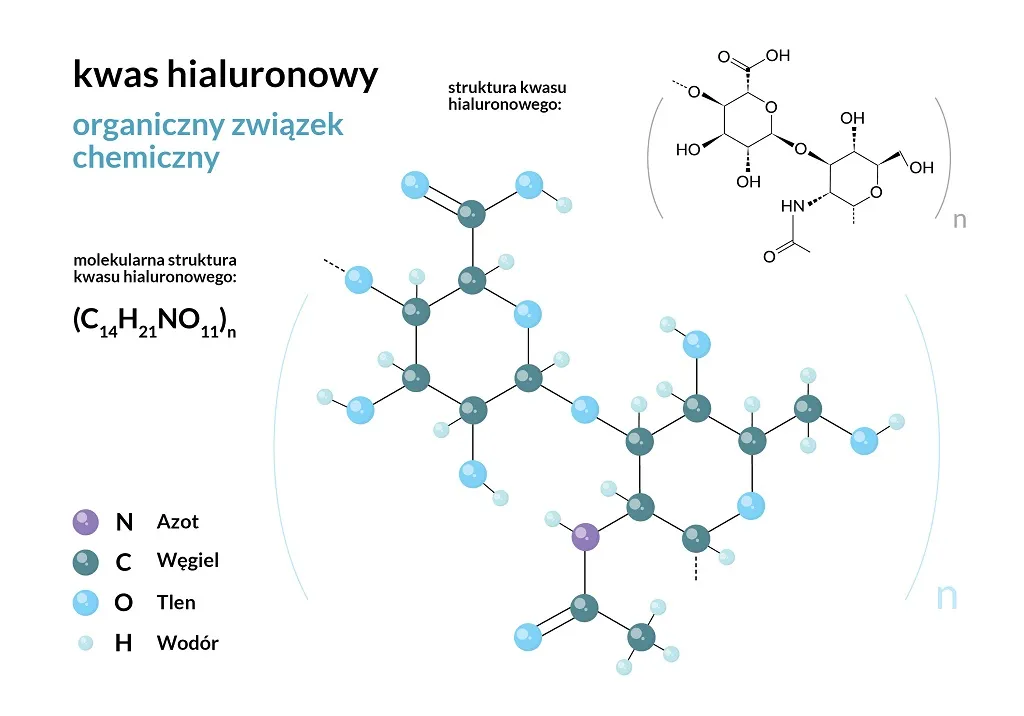 kwas hialuronowy struktura chemiczna i działanie