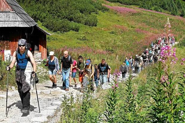 Turyści na szlaku w G&oacute;rach Sowich