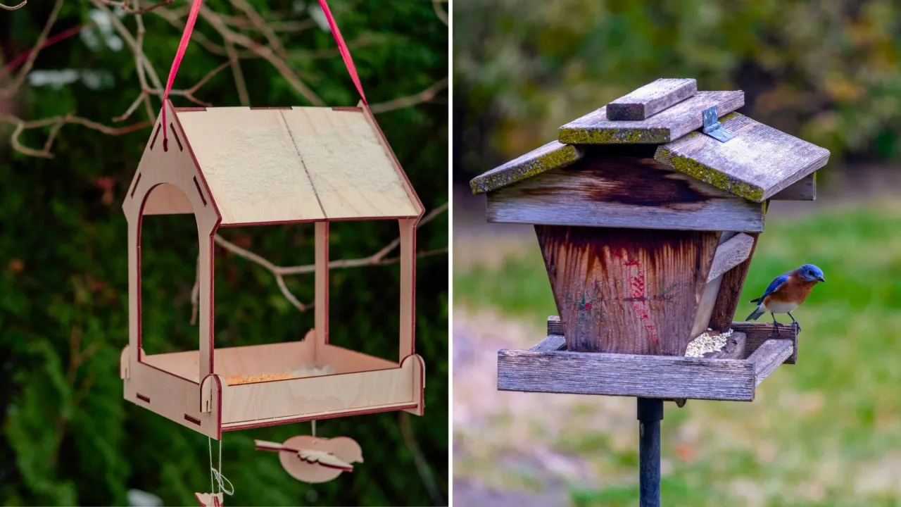 Czysty karmnik dla ptaków w ogrodzie