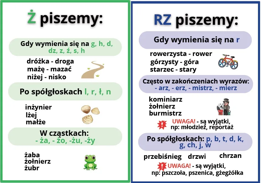 Zasady ortograficzne pisownia rz po spółgłoskach plansza edukacyjna