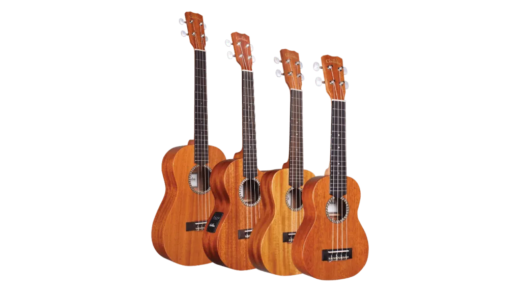 Zdjęcie Ukulele dla leworęcznych: Kluczowe różnice i wybór najlepszego modelu.
