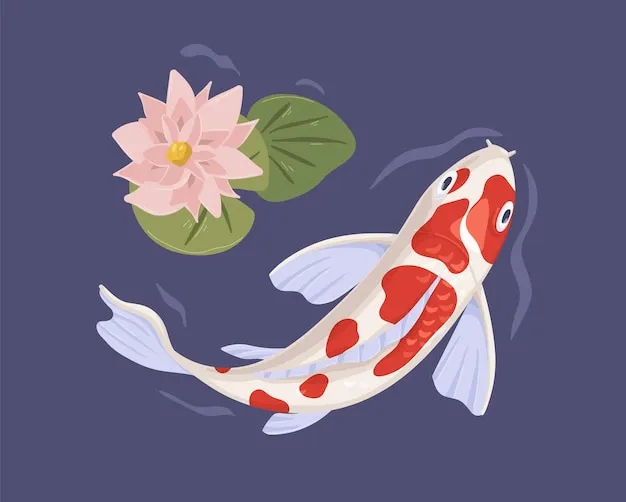 Japoński karp koi pływający w stawie