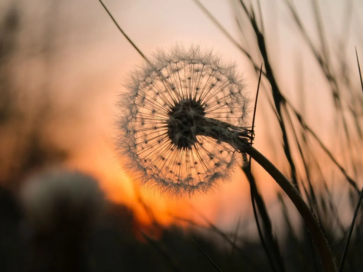 Kr&oacute;tkie cytaty o pamięci i stracie