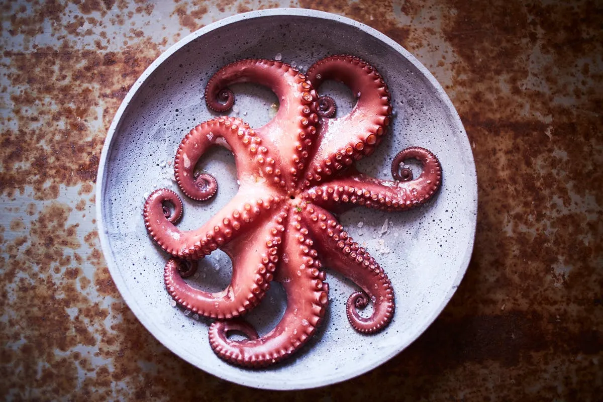 Poulpe cru et cuit pour tendret&eacute;