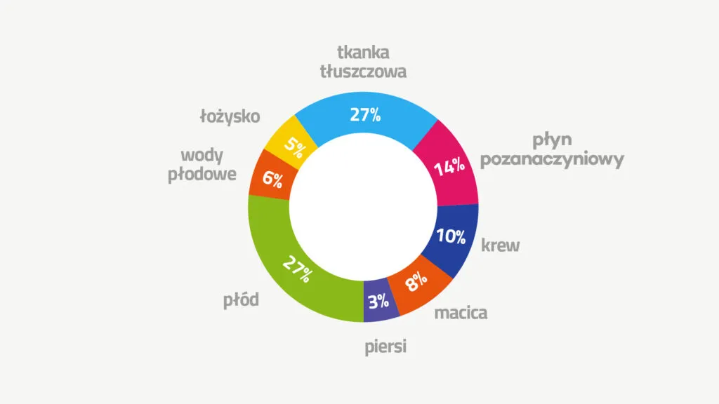 Składowe przyrostu wagi w ciąży infografika