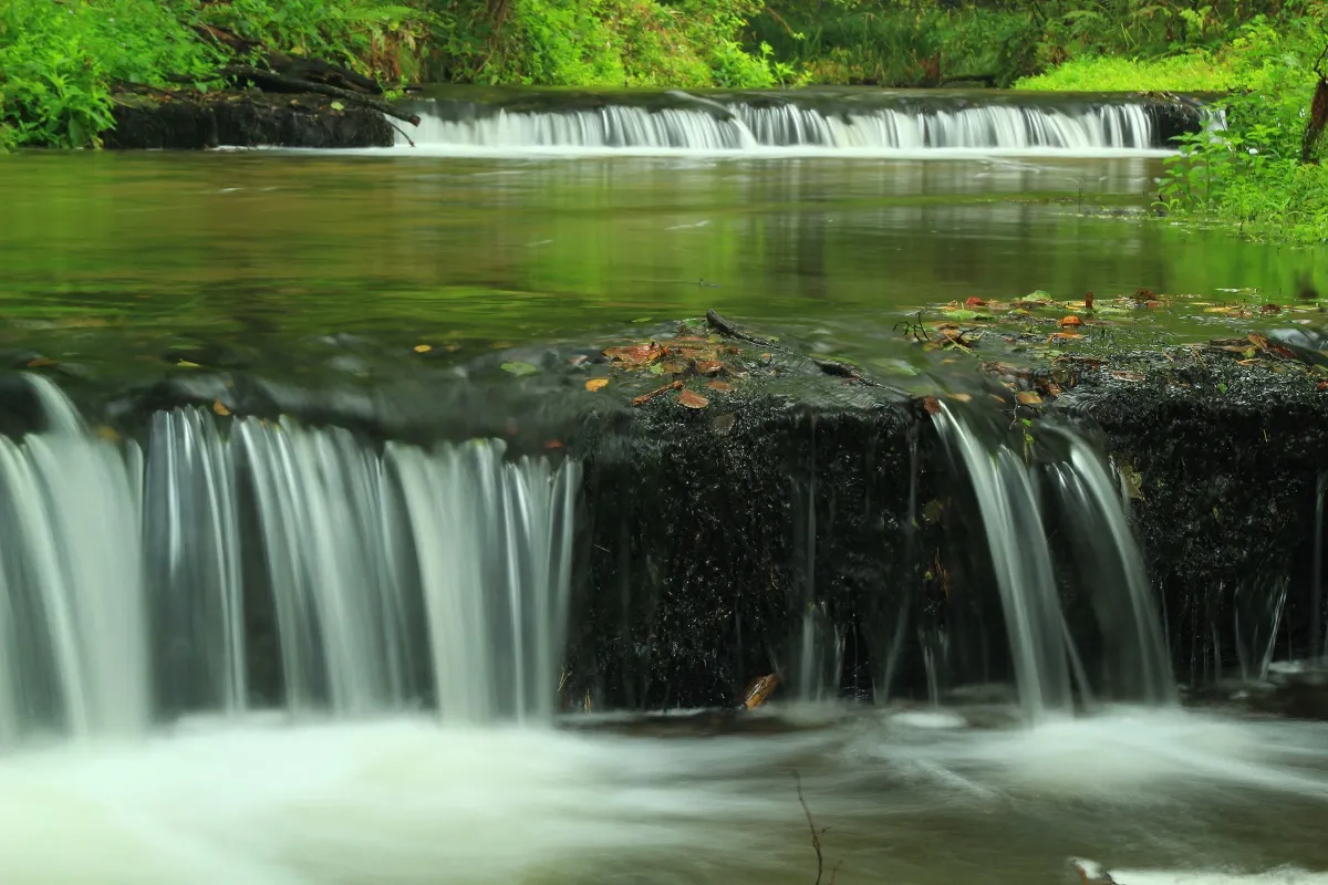 Wodospady w rezerwacie przyrody lubelskie. Woda spływa kaskadami po omszałych kamieniach, otoczona bujną zielenią.