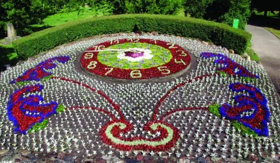 Ciechocinek dywany kwiatowe i zegar kwiatowy