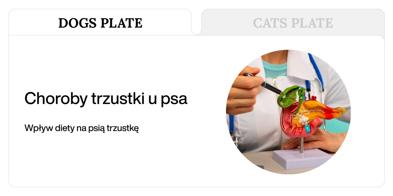 bezpieczne produkty dla psa z chorą trzustką