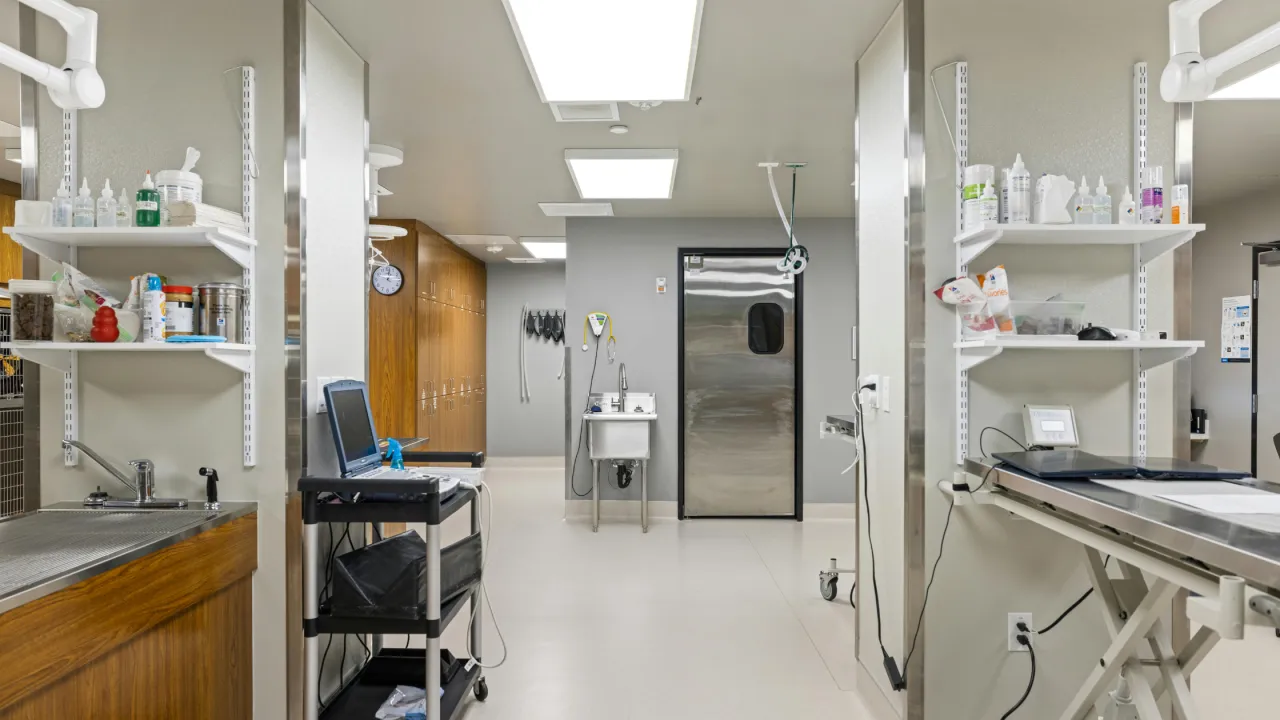 Gabinet weterynaryjny z szafkami, zlewem, stołem zabiegowym i sprzętem. Idealne miejsce, by dowiedzieć się, jak zostać weterynarzem.