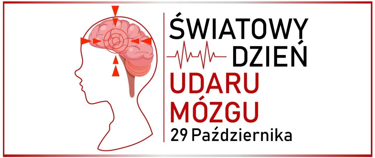 Udar m&oacute;zgu przyczyny grafika
