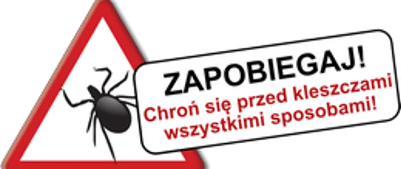 człowiek chroniący się przed kleszczami