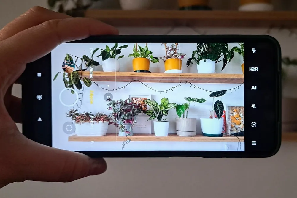 zdjęcie z siatką trójpodziału w smartfonie