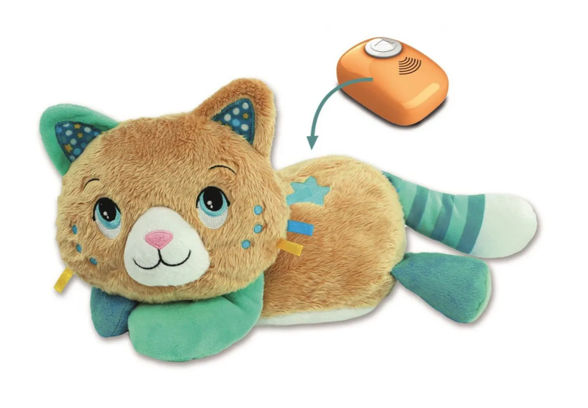 Mruczący kot w r&oacute;żnych nastrojach