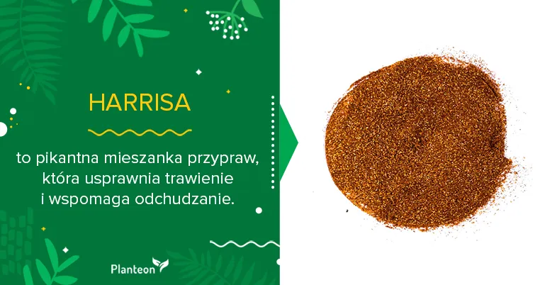 Zdjęcie Przyprawa harissa do czego - odkryj jej niezwykłe zastosowania w kuchni