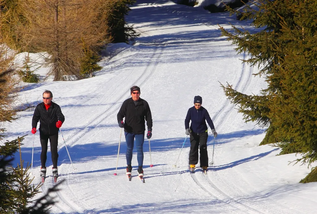 Piwniczna-Zdr&oacute;j zima narty biegowe Beskidy
