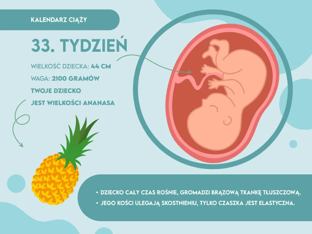 rozwój płodu 33 tydzień ciąży