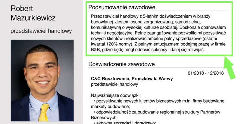 CV z podświetlonym podsumowaniem zawodowym