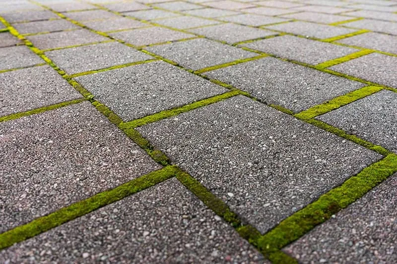 tabela porównawcza płytek na podjazd cena zalety wady