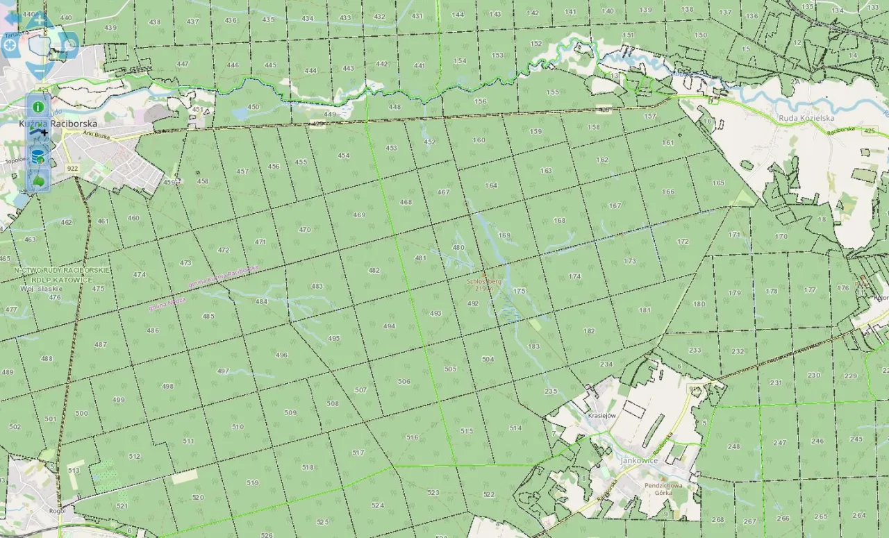 mapa lasu z kompasem i telefonem