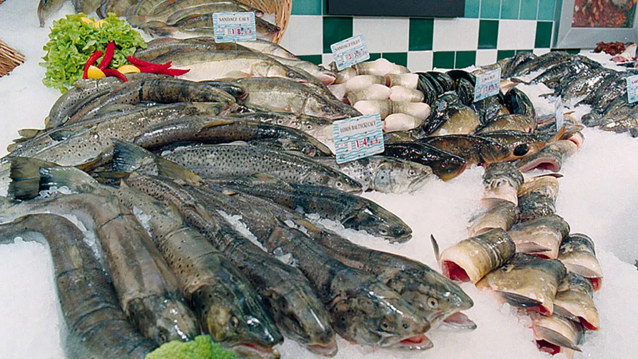 Bezpieczna obr&oacute;bka ryb pasożyty