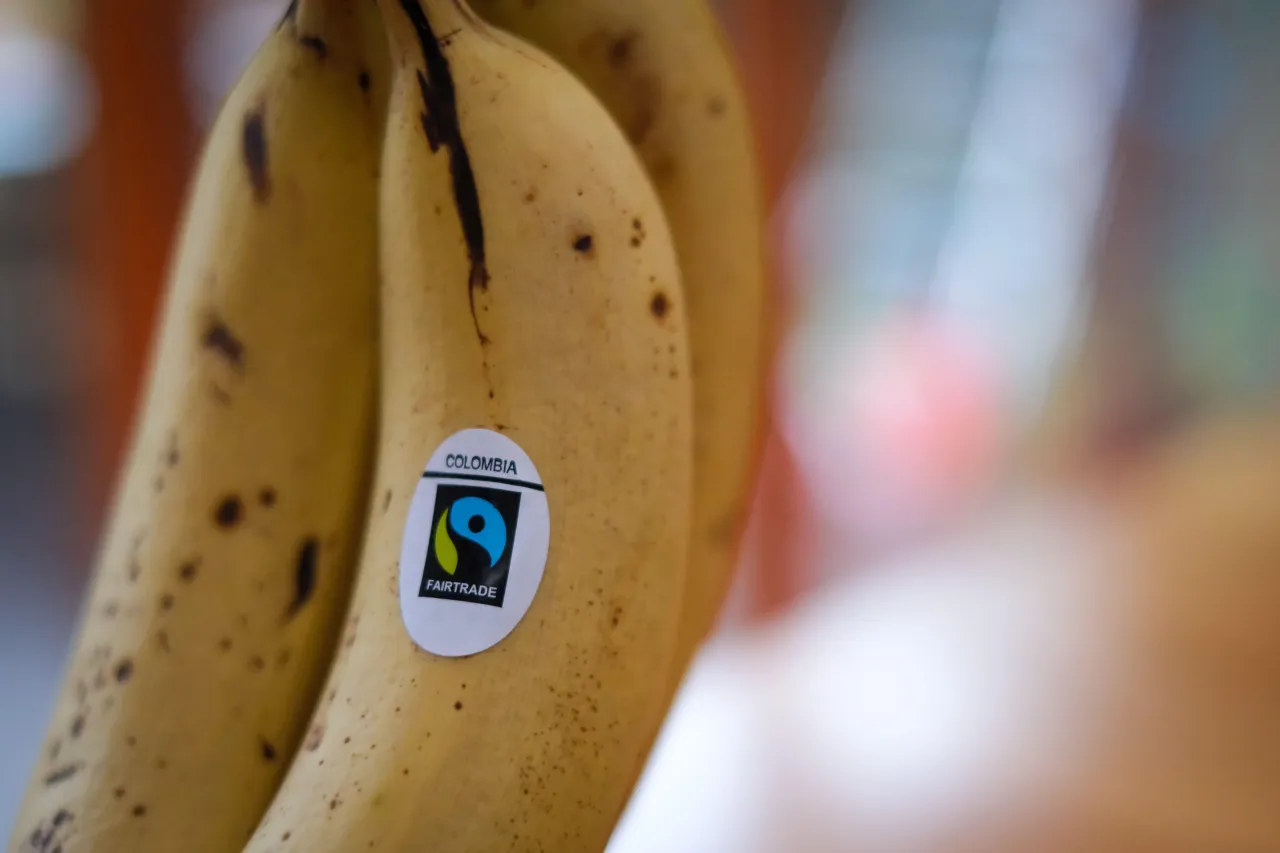 koń jedzący banana