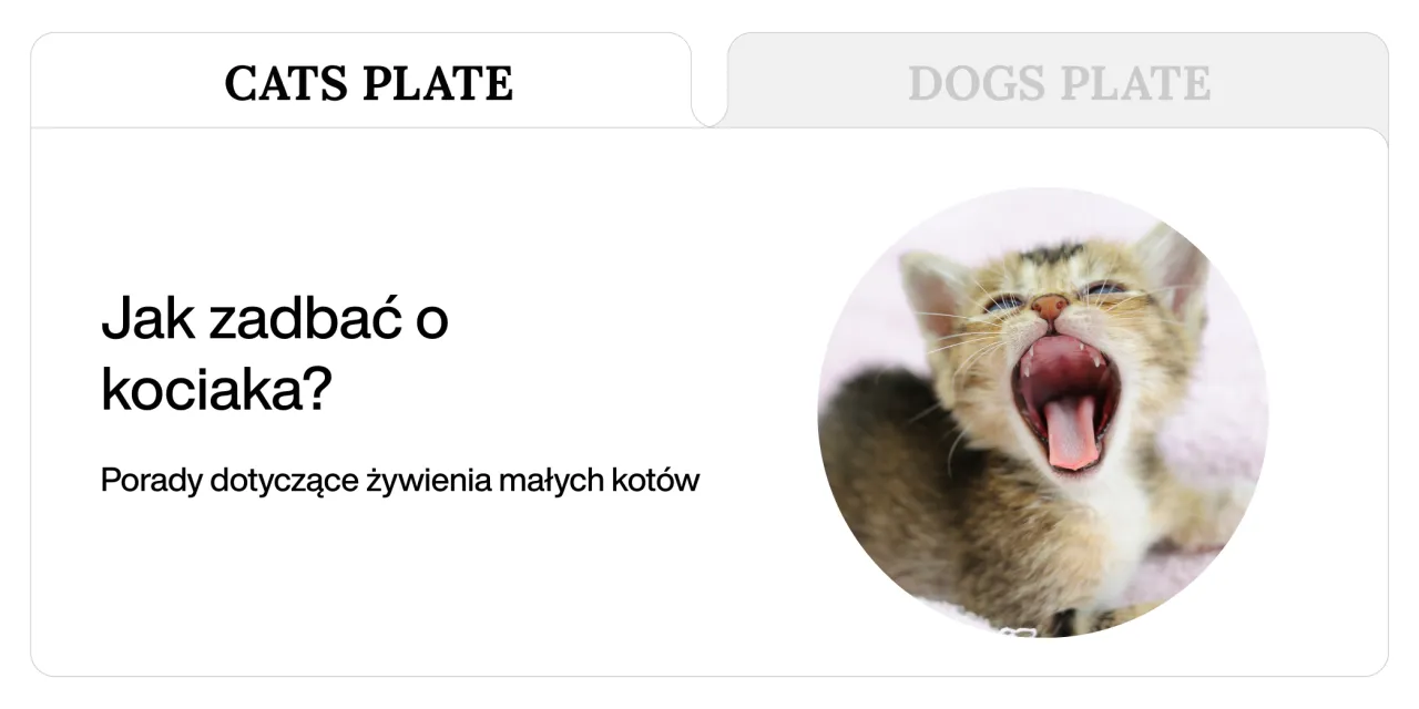 Rozwój kociaka etapy