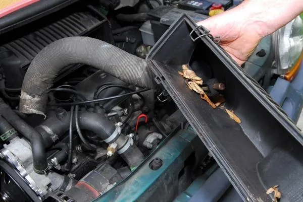 emplacement boîtier filtre à air moteur voiture