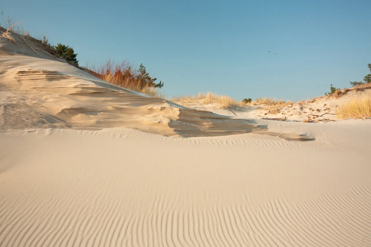 Piaskowe rzeźby wiatru na rezerwacie przyrody helskie wydmy. Delikatne fale na piasku i błękitne niebo.