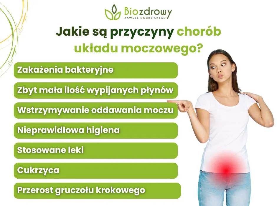Objawy chorób urologicznych infografika