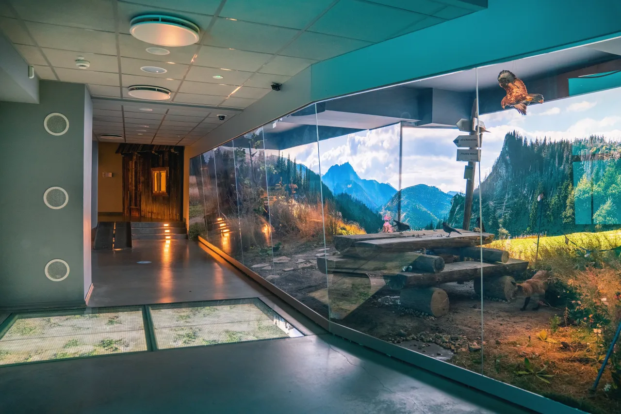 Aquapark Zakopane widok na góry, Centrum Edukacji Przyrodniczej TPN wnętrze