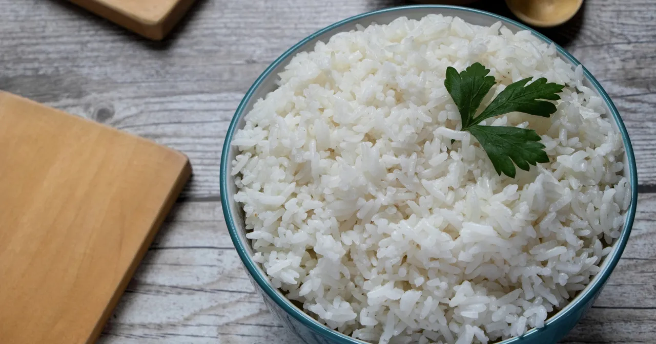 Bakteria Bacillus cereus pod mikroskopem