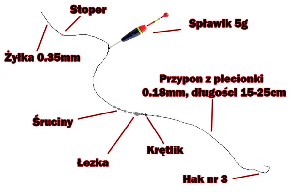 Zdjęcie Jaką żyłkę na karpia grunt wybrać, by uniknąć strat?