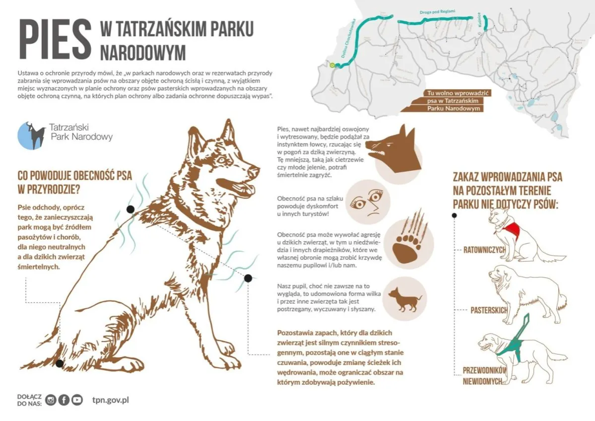 Zakopane z psem TPN zakaz
