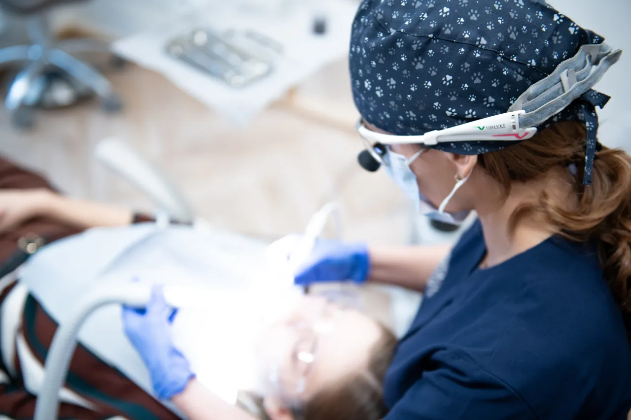 kalendarz ciąży trymestry