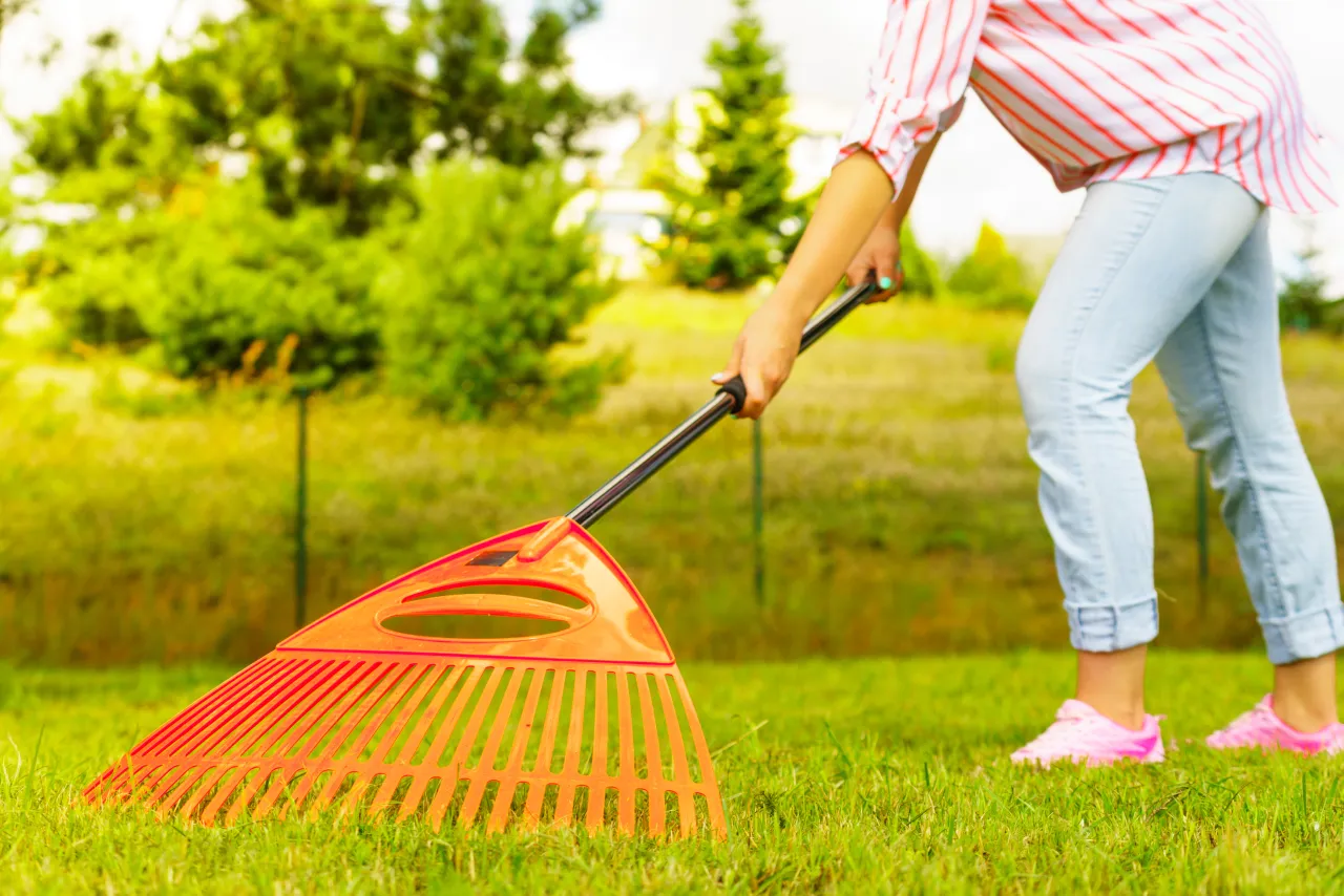 wiosenne porządki w ogrodzie marzec